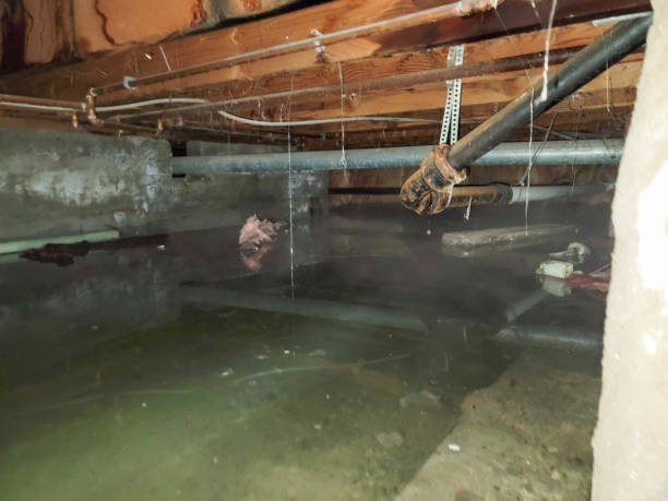Water damage restoration insurance claims in GA