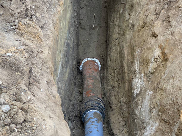 Best Emergency water extraction  in Dexter, GA