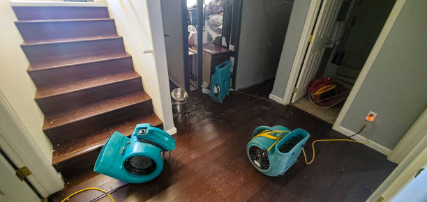 Best Professional water damage repair  in Dexter, GA