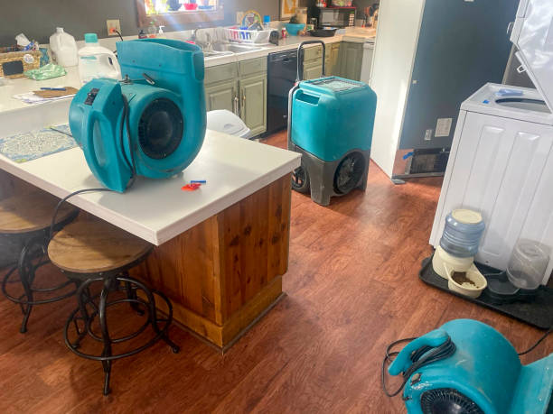 Best Basement water damage restoration  in Dexter, GA