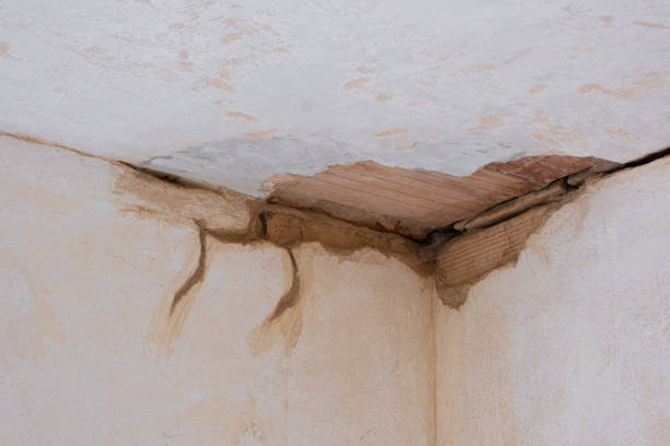 Trusted GA Water damage restoration Experts