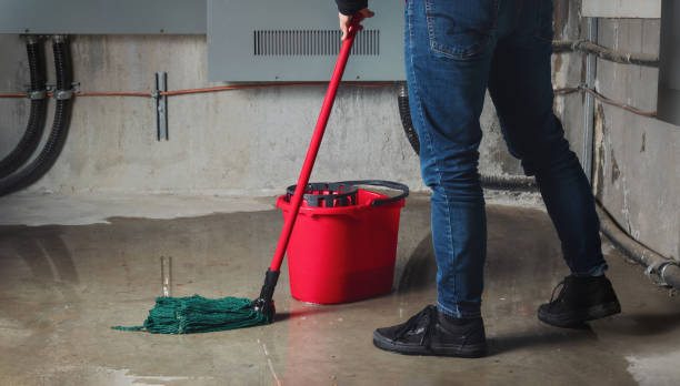 Best Local water damage restoration  in Dexter, GA