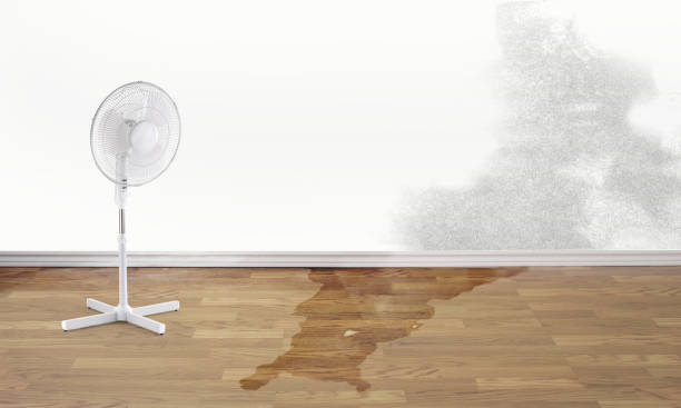Best Commercial water damage restoration  in Dexter, GA