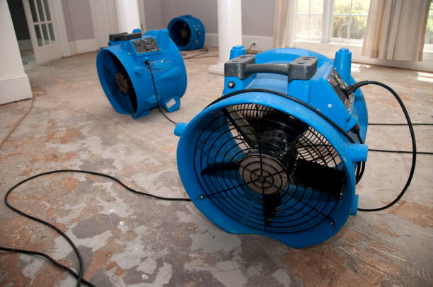 Best Fire Damage Restoration  in Dexter, GA
