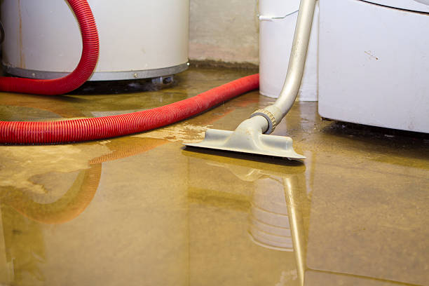 Best Water damage restoration mold remediation  in Dexter, GA