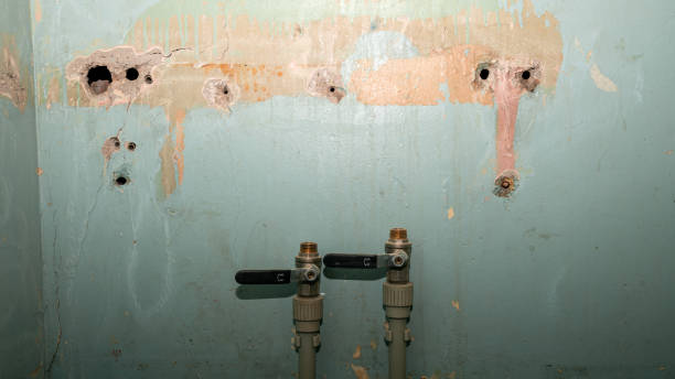 Best Sewage cleanup and water damage restoration  in Dexter, GA