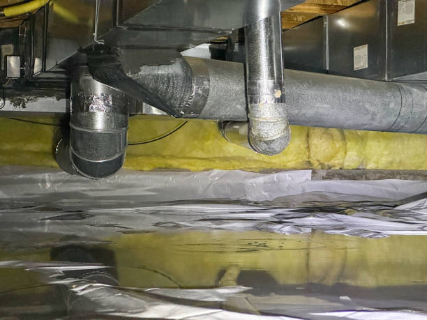 Best Water damage mitigation services  in Dexter, GA