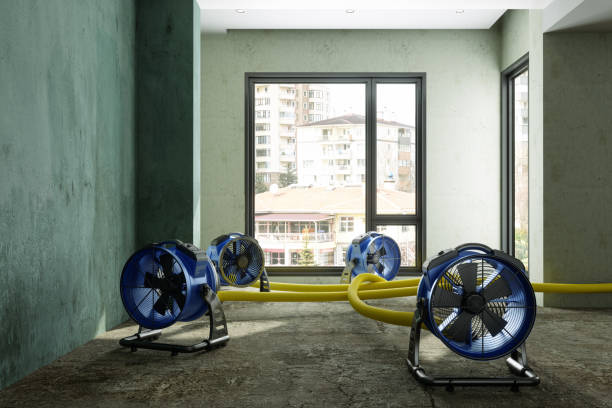 Best 24-hour water damage restoration  in Dexter, GA