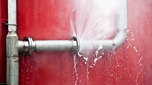 Best Mold removal after water damage  in Dexter, GA